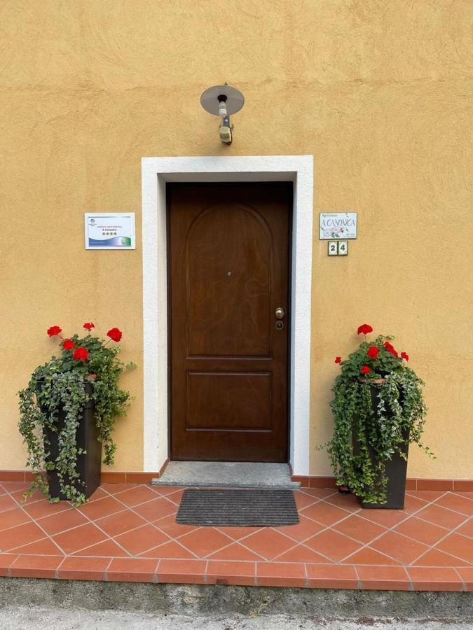 Agriturismo A Canonica Garlenda Extérieur photo